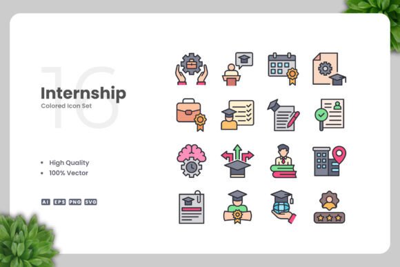 Internship Colored Icons: Graphics and Icons for Modern Design